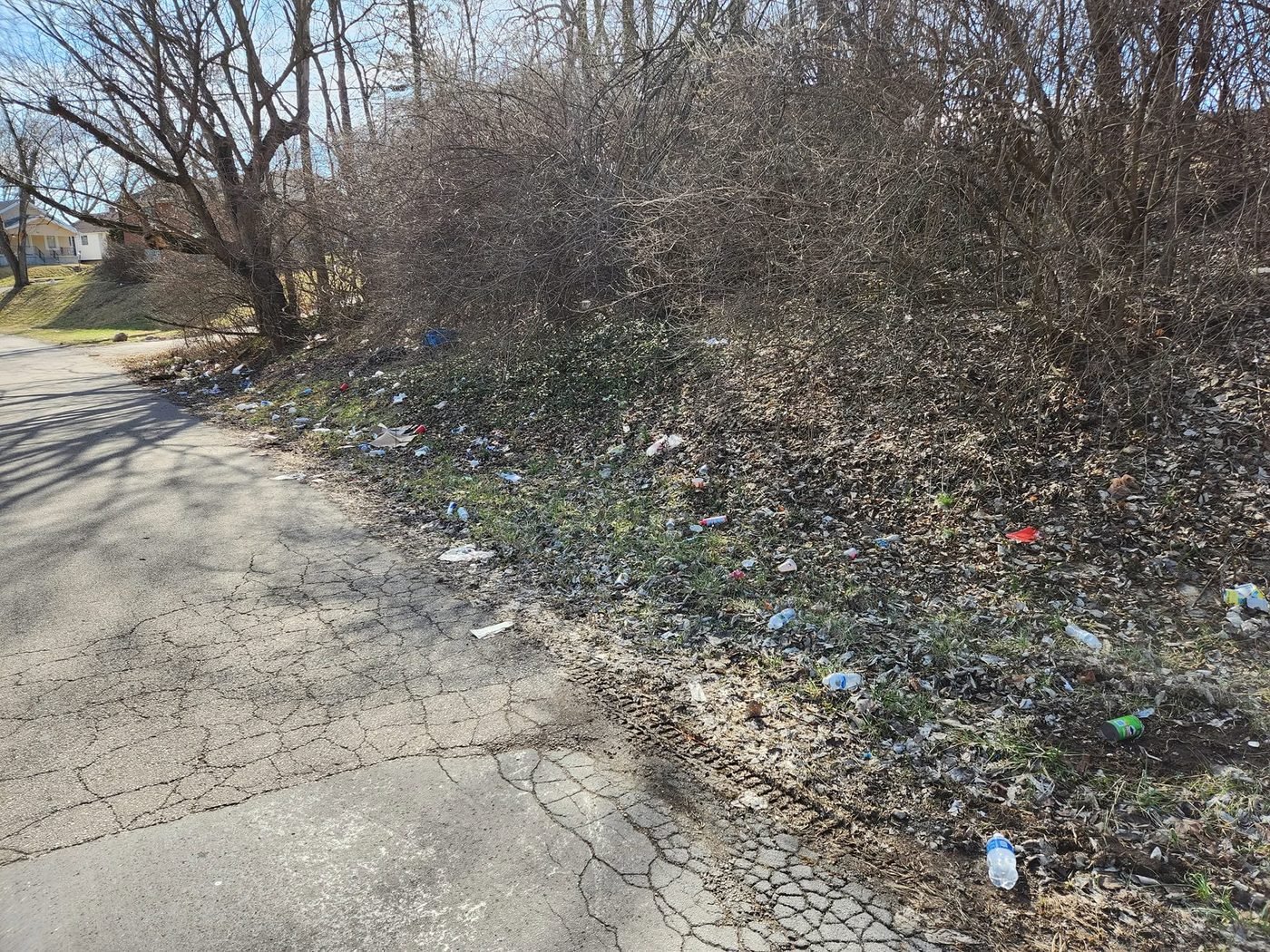 Before — an overgrown, littered lot