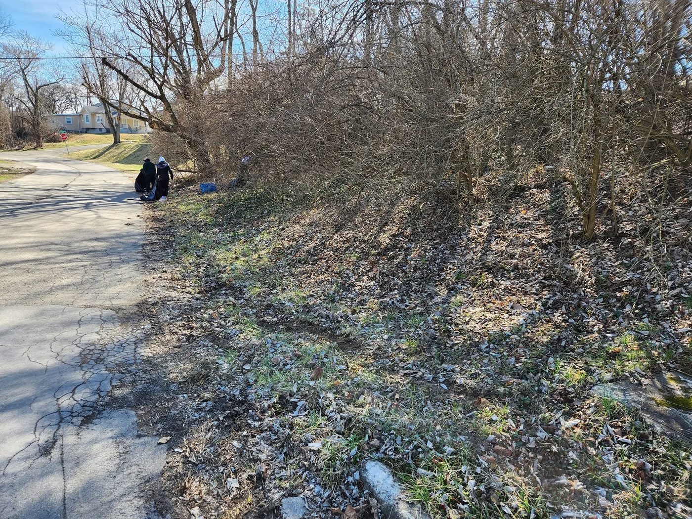 After — a cleaner curb on the block