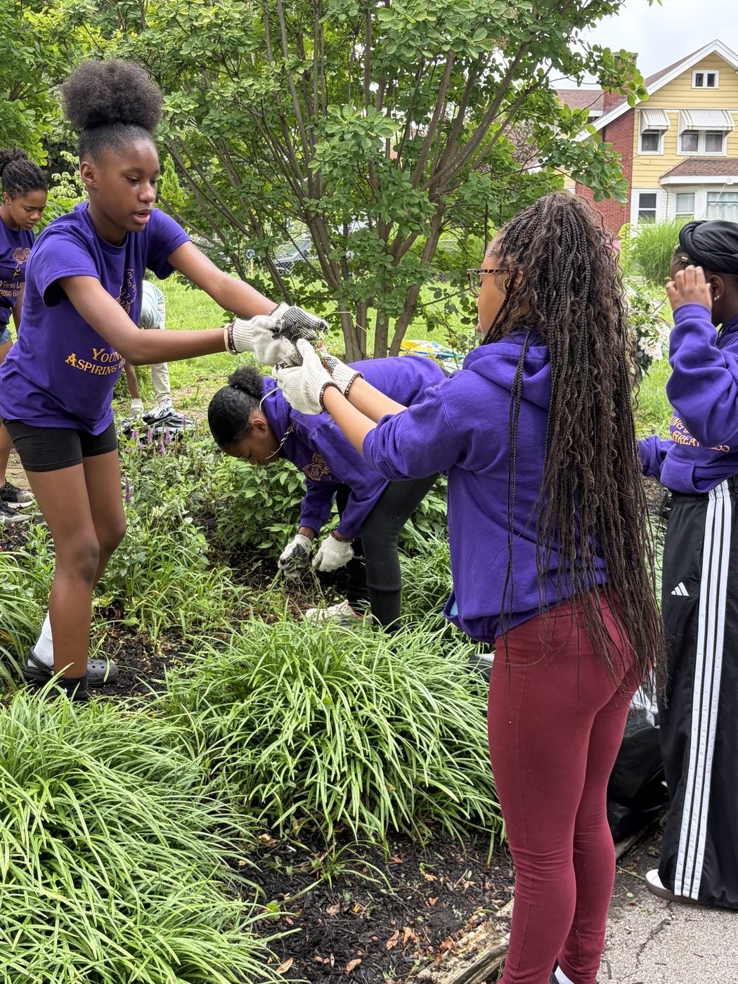 Youth crew plants where litter used to be