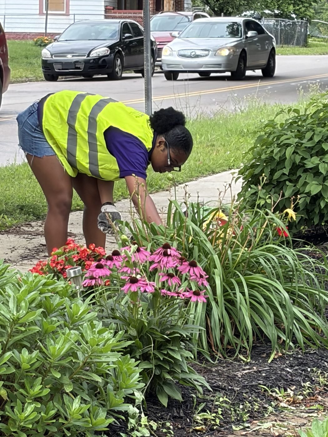 Flowers go in on a reclaimed bed