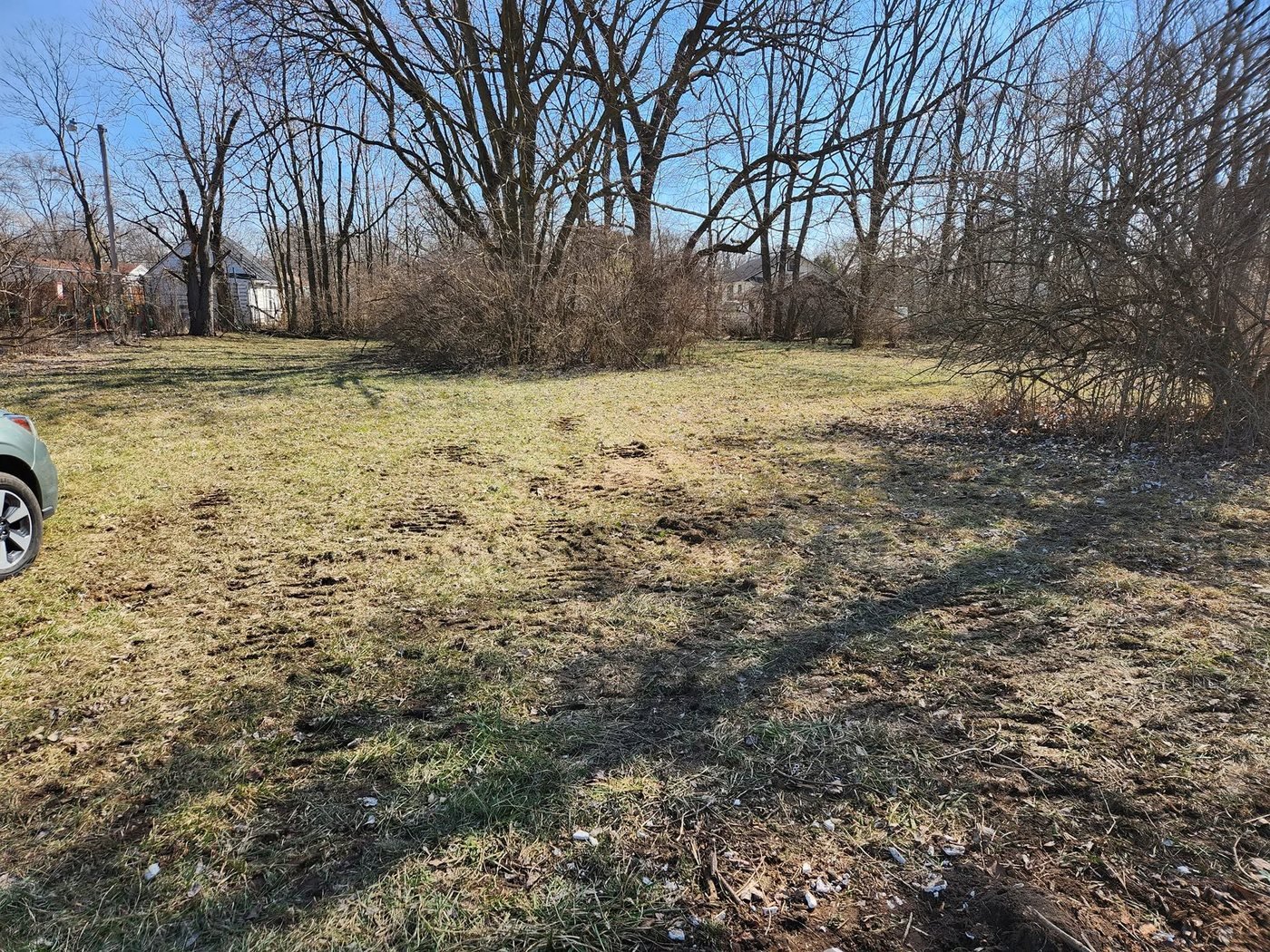 The same style of lot cleared and greening back up after a clean-up